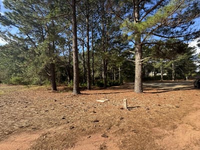 Terreno en esquina en El Faro - Lote 271