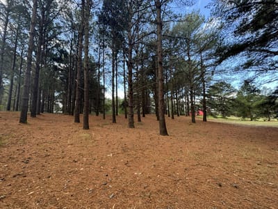 Terreno en esquina en El Faro - Lote 271