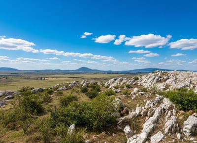Campo a solo 35 km de Punta Ballena 