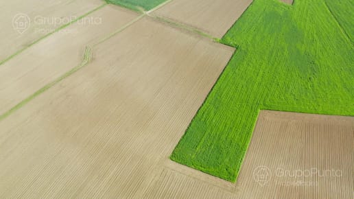 Campo en Venta - Lavalleja