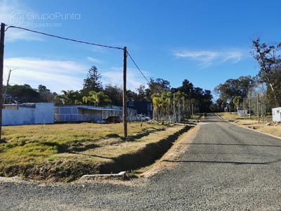 Terreno venta Camino Lusich, fraccionamiento Los Guayabos Maldonado