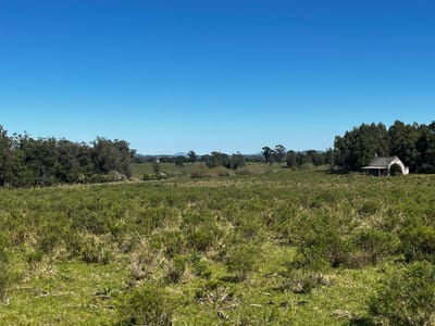 Chacras en venta sobre camino Eguzquiza - TM7404174
