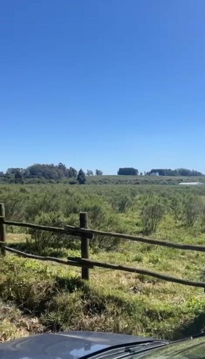 Chacra en venta 5,8 ha - Camino Medellin 