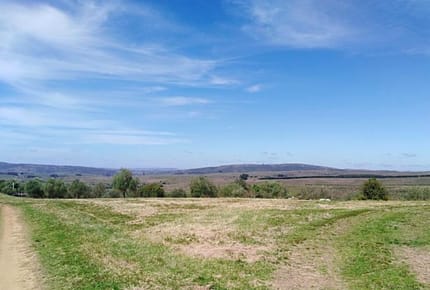 Chacra Serrana de Olivares 7,5 hás