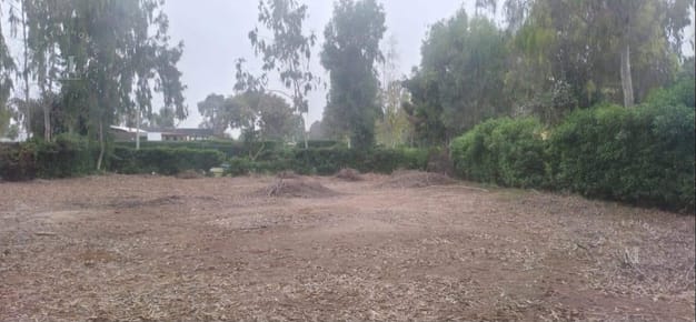 Terreno en DE LURIN