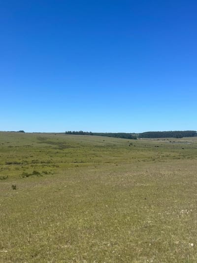 Chacra en Garzon - 19.1 HECTÁREAS a 20 minutos de Jose Ignacio.