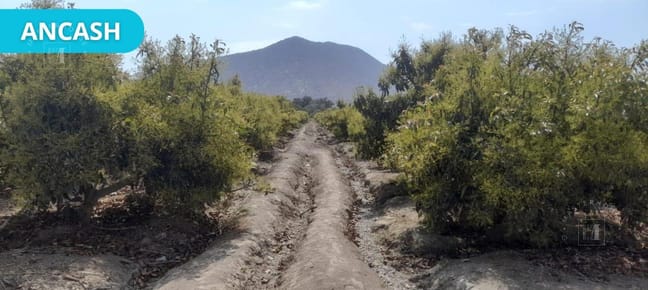 Terreno en Moro