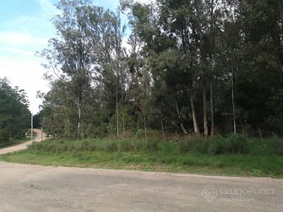 Chacra en venta Las Silvias, Maldonado