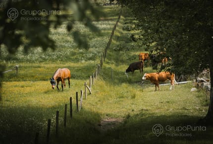Campo en Venta - Florida
