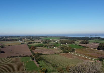 Venta de Chacra de 7 Hectáreas Cerca de Colonia del Sacramento