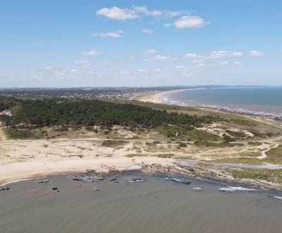 Campo para la venta sobre el Mar costa de Maldonado