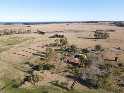 Campo - Las Garzas