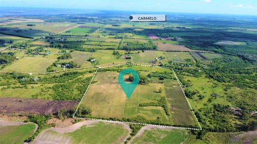 Venta - Chacra - Carmelo - Camino La Muralla