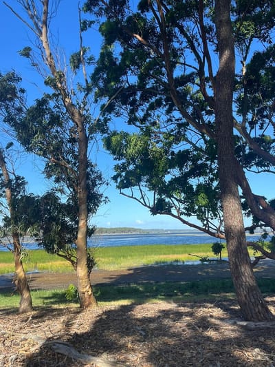 Campo en venta de 42 ha en La Rinconada - TM4936729