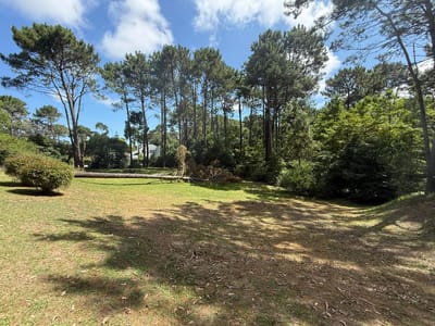 Terreno en Parque Burnett – 3076m²