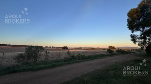 Venta  Casa   cabañas sobre Ruta 70 en Piedras de Afilar  1/2 hectarea