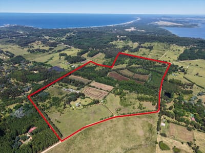 Chacra Punta Ballena - 72 ha ubicación privilegiada