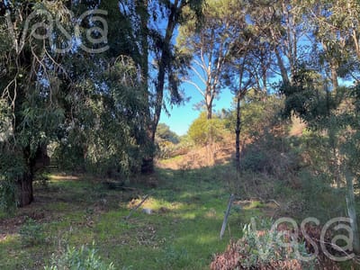 Terreno en Laguna del Diario