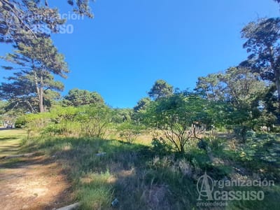 Terreno - sobre Av. Pedragosa Sierra - 5.951 m2 a pocas cuadras del shopping Punta del Este