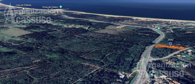 Punta Ballena - Lote Venta - 8774 m2 - sobre el lomo de la ballena -
