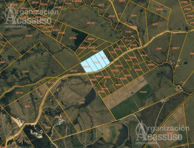 Terreno en Venta 25 hectareas 