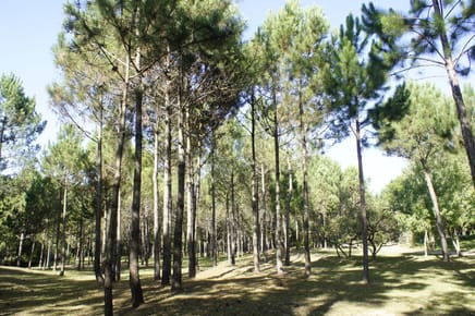 Venta de Lote de 10 Hectáreas sobre Ruta10 cerca de Valizas. Rocha