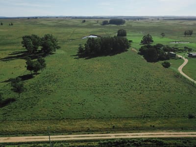 Chacra de 10 ha en venta en Garzón a 15 minutos de José Ignacio