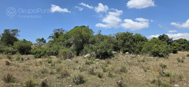 Chacra financiadas de 5 hectareas  Aigua