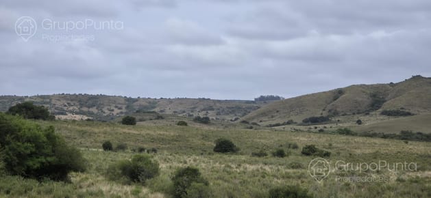 Chacras financiadas de 5  hectareas en Maldonado - Aigua 