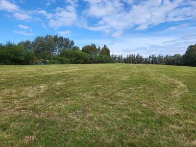 Chacra de 3 Hectareas Cerca de Narbona en Venta - TM7794706