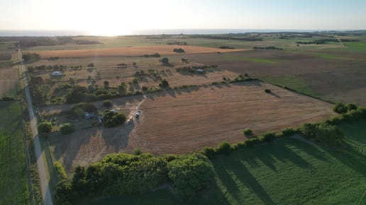 Chacra productiva 8 ha con casa y galpones – Colonia