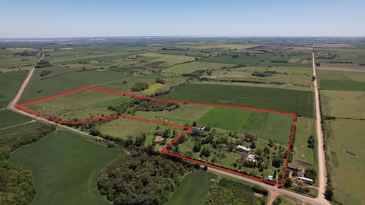 Campo 24 ha con casa principal y mejoras | Ruta 97 | Zona Nueva Palmira