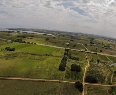 Venta chacra 5 Ha Laguna del Sauce Maldonado
