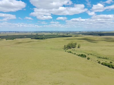 Campo en Lavalleja próximo a  José Pedro Varela