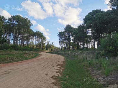 Terreno en venta Altos del Burnett 