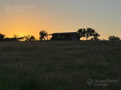 Chacra en venta con arroyo Ruta 39 