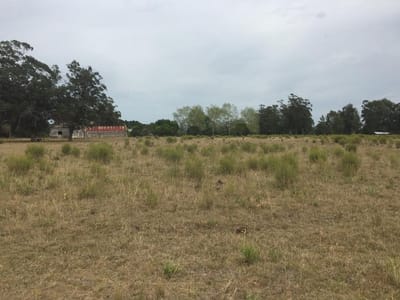 La Barra Venta Chacra frente a Narbona - TM3517769