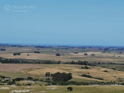 Chacra en venta Ruta 39 cerca de San Carlos 