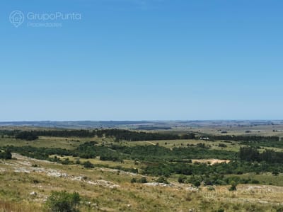 Chacra en venta Ruta 39 a minutos de San Carlos
