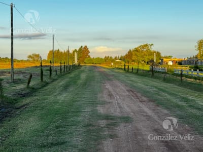 Terreno en Carmelo