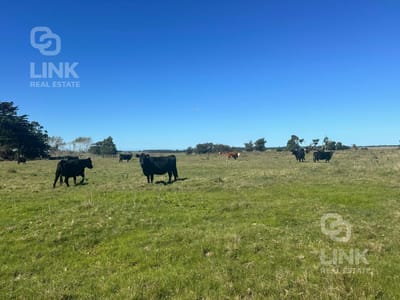 Campo en Las Garzas