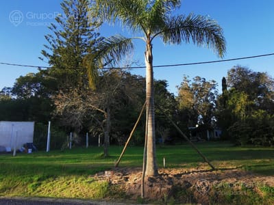 Terreno en venta, entorno natural cerca de la ciudad - Maldonado