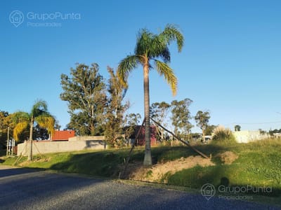 Terreno en venta Maldonado