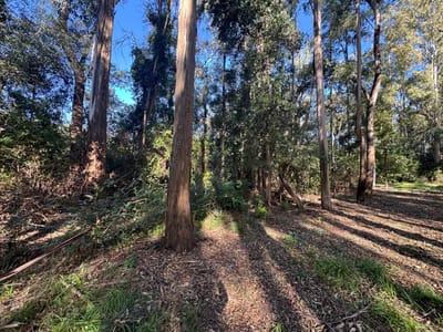 Terreno en Venta en Santa Ana – 600 m²