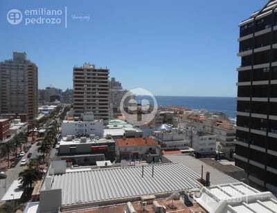 Venta apartamento 2 dormitorios Peninsula