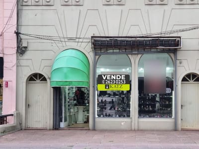 Terreno -Garibaldi proximo Bv Artigas, gran terreno de 465 m2 y altura de 16,5 mts !!