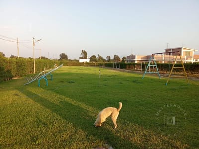Terreno en Huaral