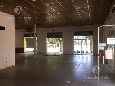 Local - Tarariras