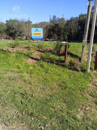Terreno en  Punta Gorda a 150m de la Laguna Solis