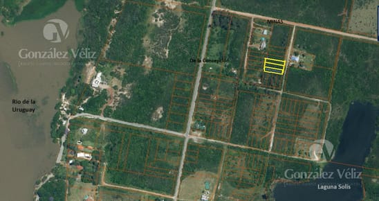 Venta de tres terrenos en Block en Punta Gorda